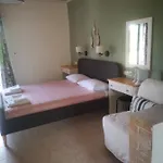 Achillion Apartament Paralía Skotínis
