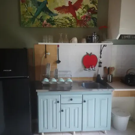 Achillion Apartment Paralia Skotinis