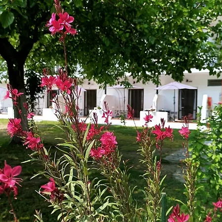 Apartment Achillion Paralia Skotinis